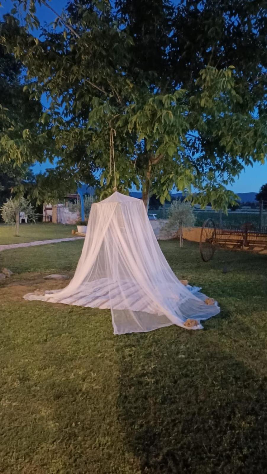 La Vecchia Stalla B&B Narni Kültér fotó