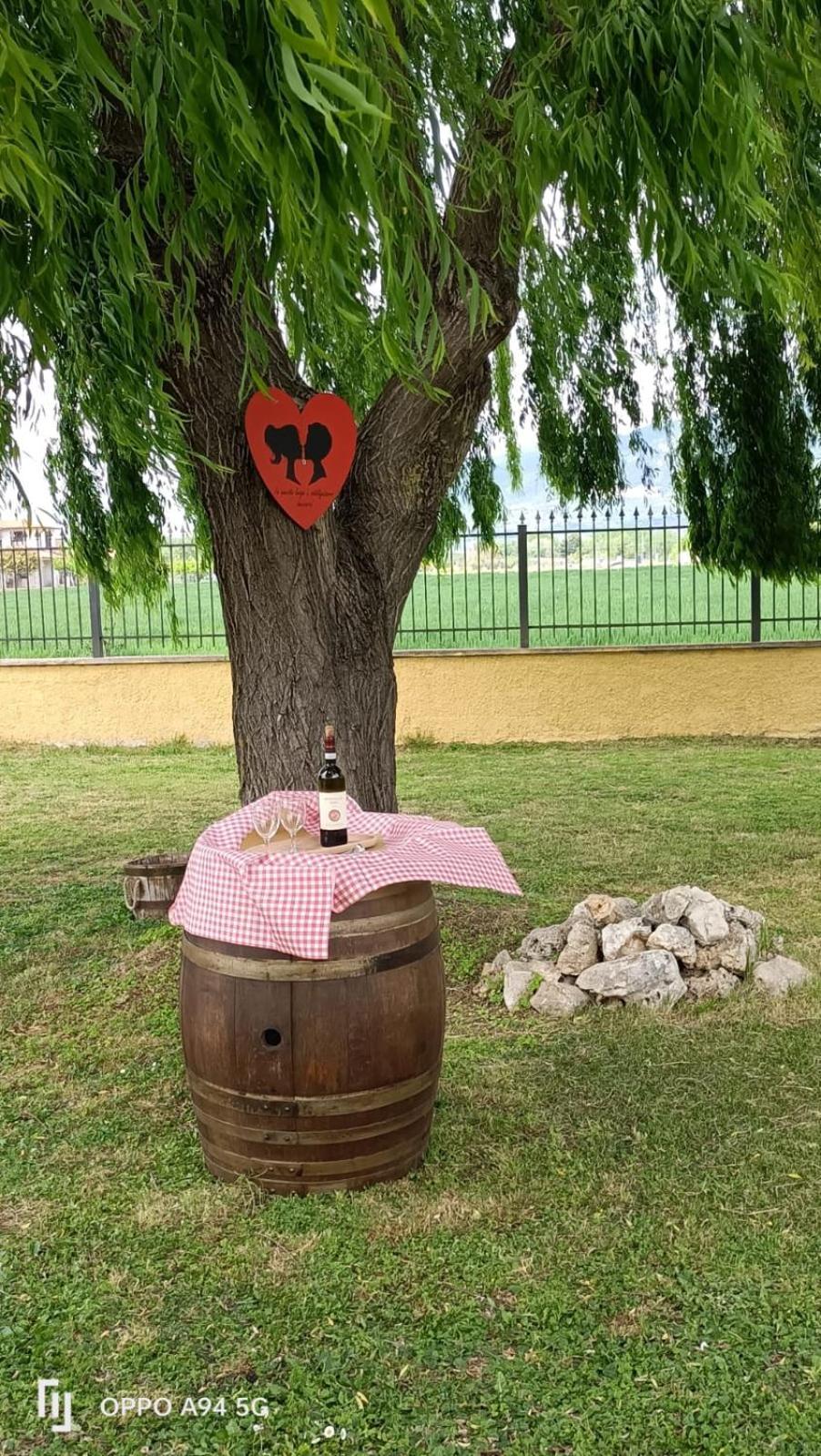 La Vecchia Stalla B&B Narni Kültér fotó