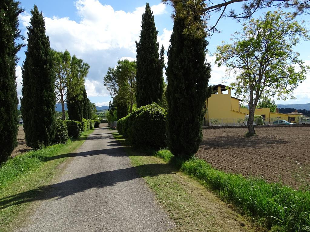 La Vecchia Stalla B&B Narni Kültér fotó