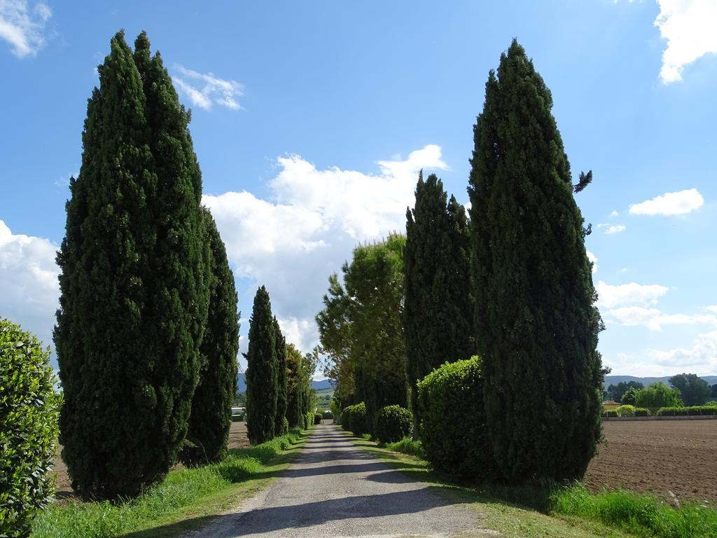 La Vecchia Stalla B&B Narni Kültér fotó