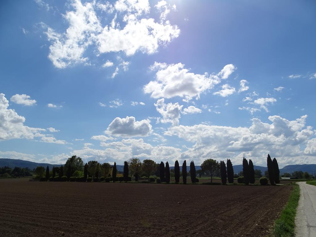La Vecchia Stalla B&B Narni Kültér fotó
